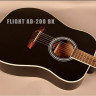Flight AD-200 BK акустическая гитара