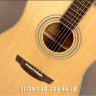 Flight Flight AD-200 NA акустическая гитара
