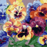 Картина по номерам 15х20 АНЮТИНЫ ГЛАЗКИ (15 цветов)