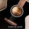 Flight AG-210 BK акустическая гитара