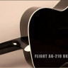 Flight AG-210 BK акустическая гитара