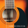 Flight W12701/12/SB акустическая гитара