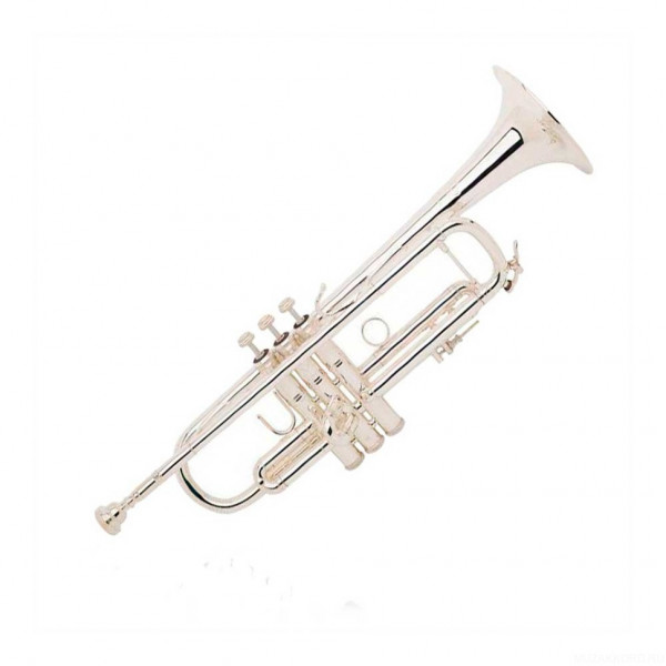 Труба Bach AB190 Custom AB190G Bb Stradivarius