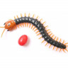 ИК Сороконожка Best Fun Toys 9901 Centipede свет