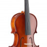STAGG VL-1/2 скрипка полный комплект + футляр