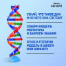 Набор для опытов «Молекула ДНК»
