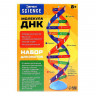 Набор для опытов «Молекула ДНК»
