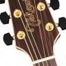 TAKAMINE G90 SERIES GN93 акустическая гитара