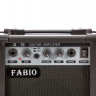 Fabio G-10 комбоусилитель для акустической и электрогитары