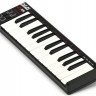 AKAI PRO LPK25, портативная USB/MIDI-клавиатура, 25 чувствительных мини-клавиш, арпеджиатор, кнопка сустейна, питание по USB