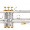 Труба Bach 180S43G Bb Stradivarius