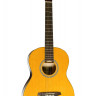 Virginia VL05 акустическая гитара
