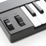 IK MULTIMEDIA iRig Keys 37 USB MIDI-клавиатура для Mac и PC, 37 клавиш