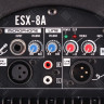 Активная акустическая система EUROSOUND ESX-8A
