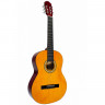 TERRIS C-450A NA 4/4 классическая гитара