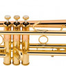 Труба Bach LT1901B Bb Stradivarius
