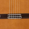 CORDOBA IBERIA C7-CE 4/4 классическая гитара со звукоснимателем с чехлом