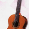 Antonio Sanchez S-1010 Cedar 4/4 классическая гитара